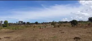 33.5 Acres Farm Land in Kwale Kiwegu
