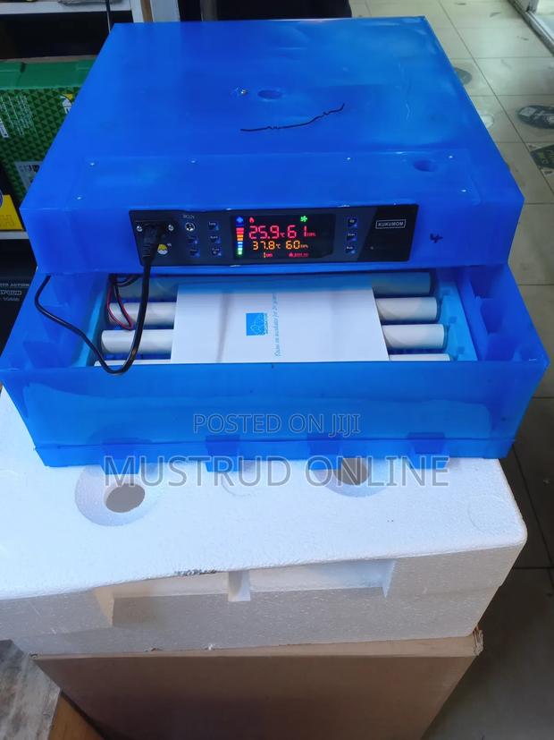 64eggs Incubator - main view