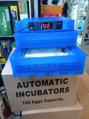 128 Eggs Incubator