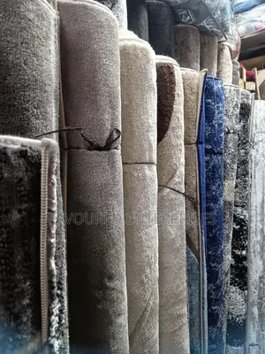 7*10 Shaggy Carpet