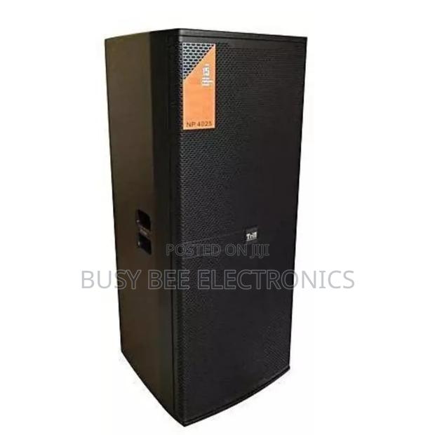 Trill Np4025 (15′′*2) Audio Professional Full Range Speaker