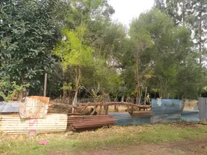 Large Residential Eighth Acre Red Soil Plot in Ngong Bondeni