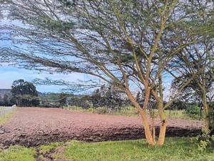 Plots for Sale in Kamangu - thumbnail 2
