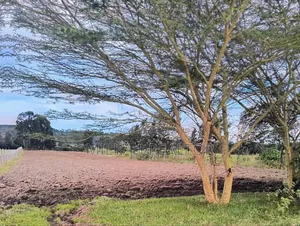 Plots for Sale in Kamangu