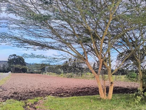 Plots for Sale in Kamangu