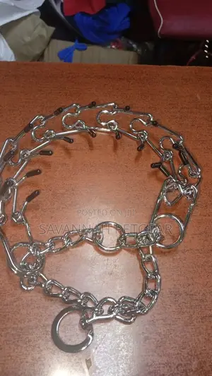 Professional Metal Pinch Dog Training Chain Collars + Buckle
