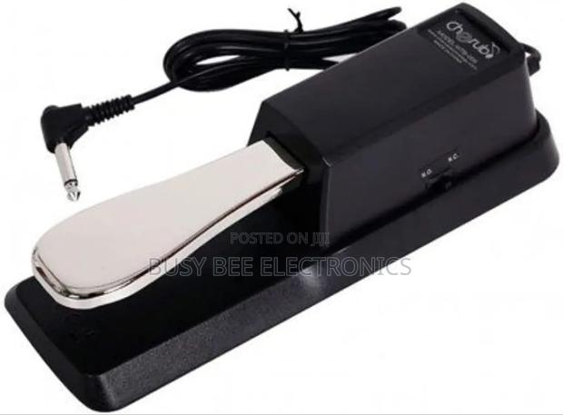 WTB-005 Digital Piano and Keyboard Sustain Pedal - main view