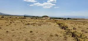 3 Acres of Land Touching Tarmac (Naivasha Maaimahiu Highway)