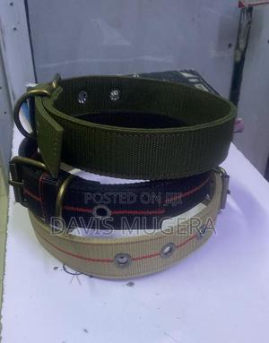 Nylon Dog Training Collars Heavy Duty Collar for - Large - thumbnail 2
