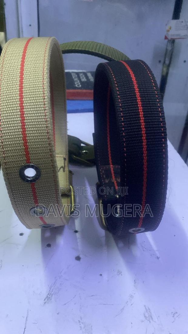 Nylon Dog Training Collars Heavy Duty Collar for - Large - thumbnail 3