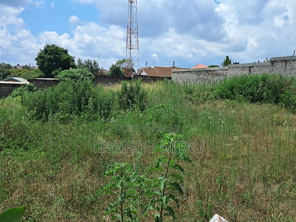100*100 Prime Plots for Sale in Ruaka - From 15m