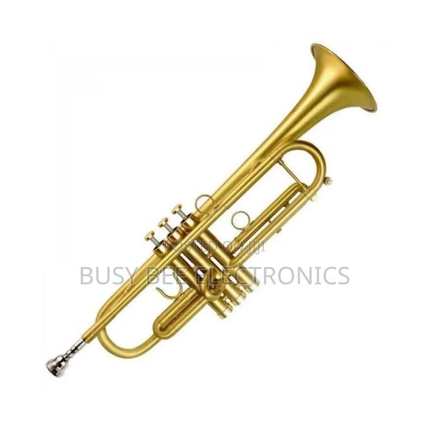 Professional Trumpet Silver Gold