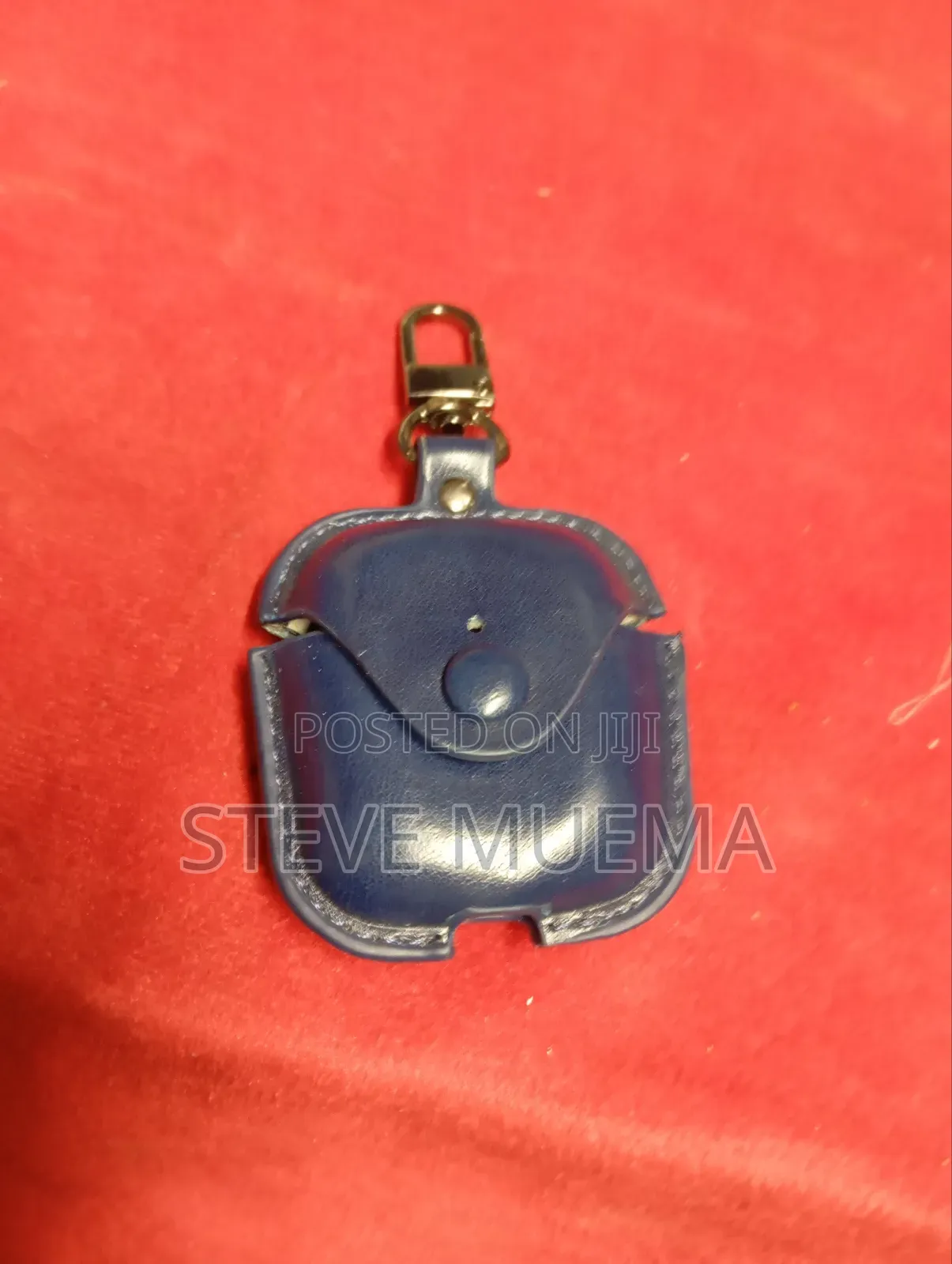 Earpods Protective Case.