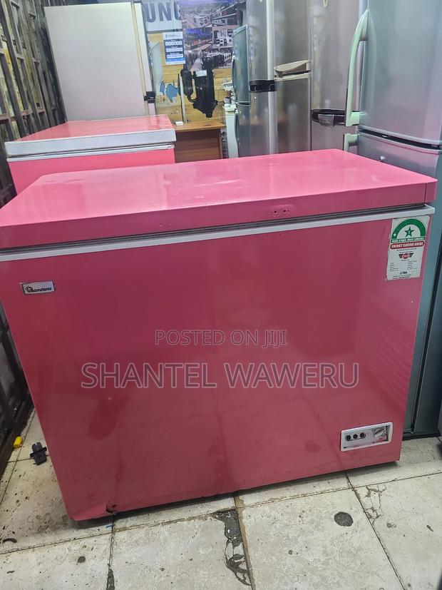Premier Deep Freezer 300litres