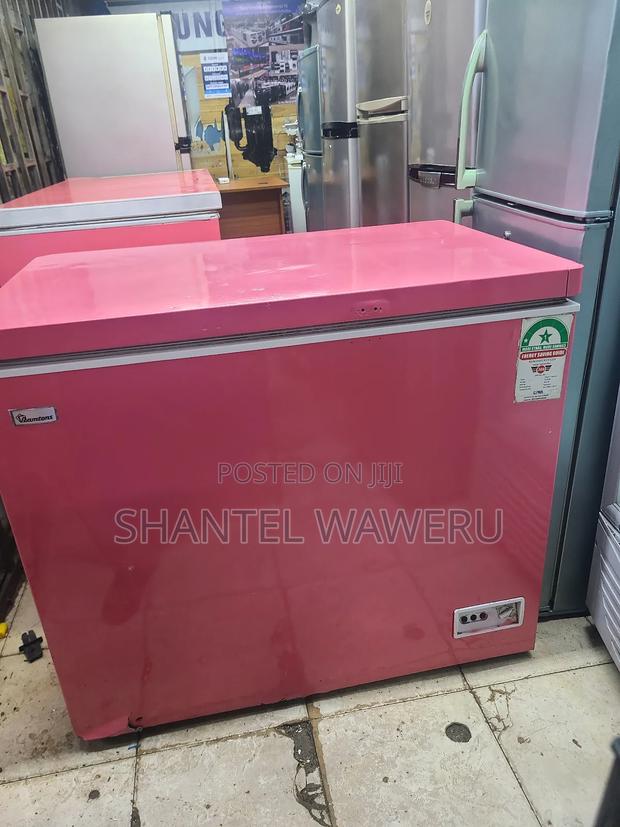Premier Deep Freezer 300litres - thumbnail 2