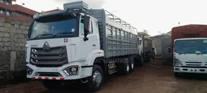 Sinotruk Howo-Nx 6*4 Rigid Truck RHD