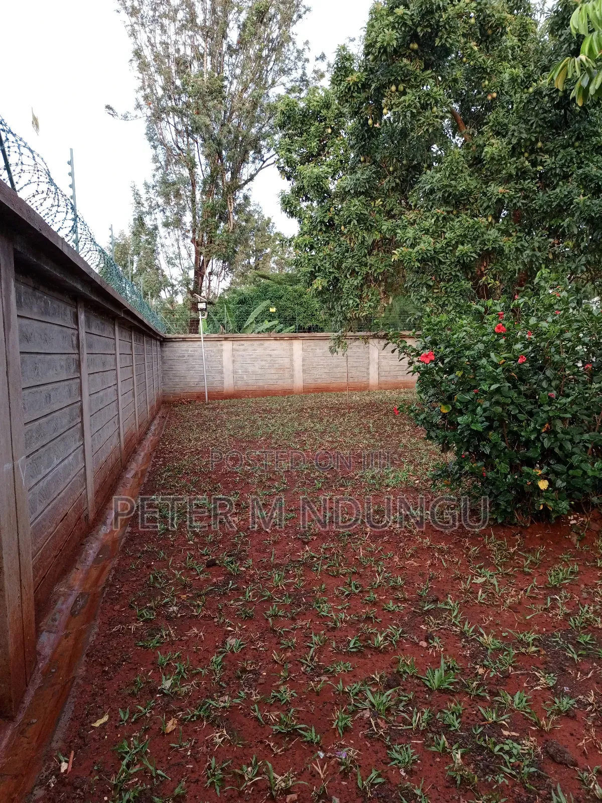 2bdrm Apartment in Thome for rent