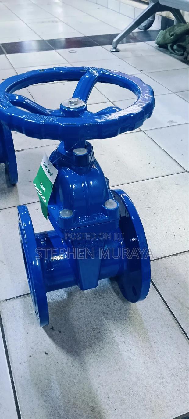 4" Sluice Valve - main view