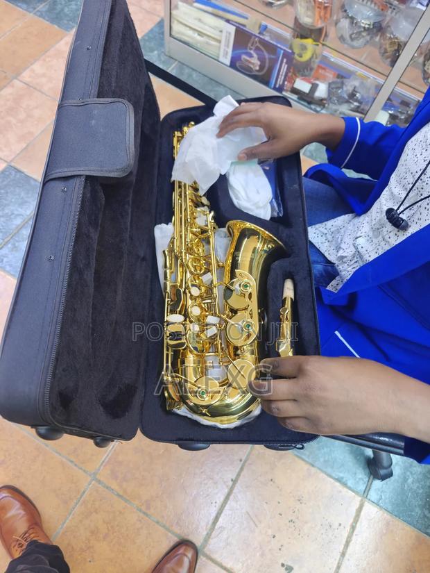 Premier Alto Saxophone - main view