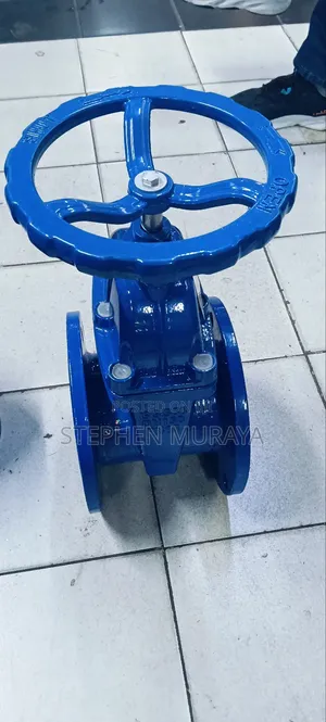 6"Sluice Valve