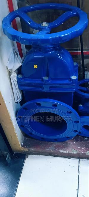 8"Sluice Valve - main view