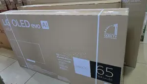 Lg 65 Oled Evo