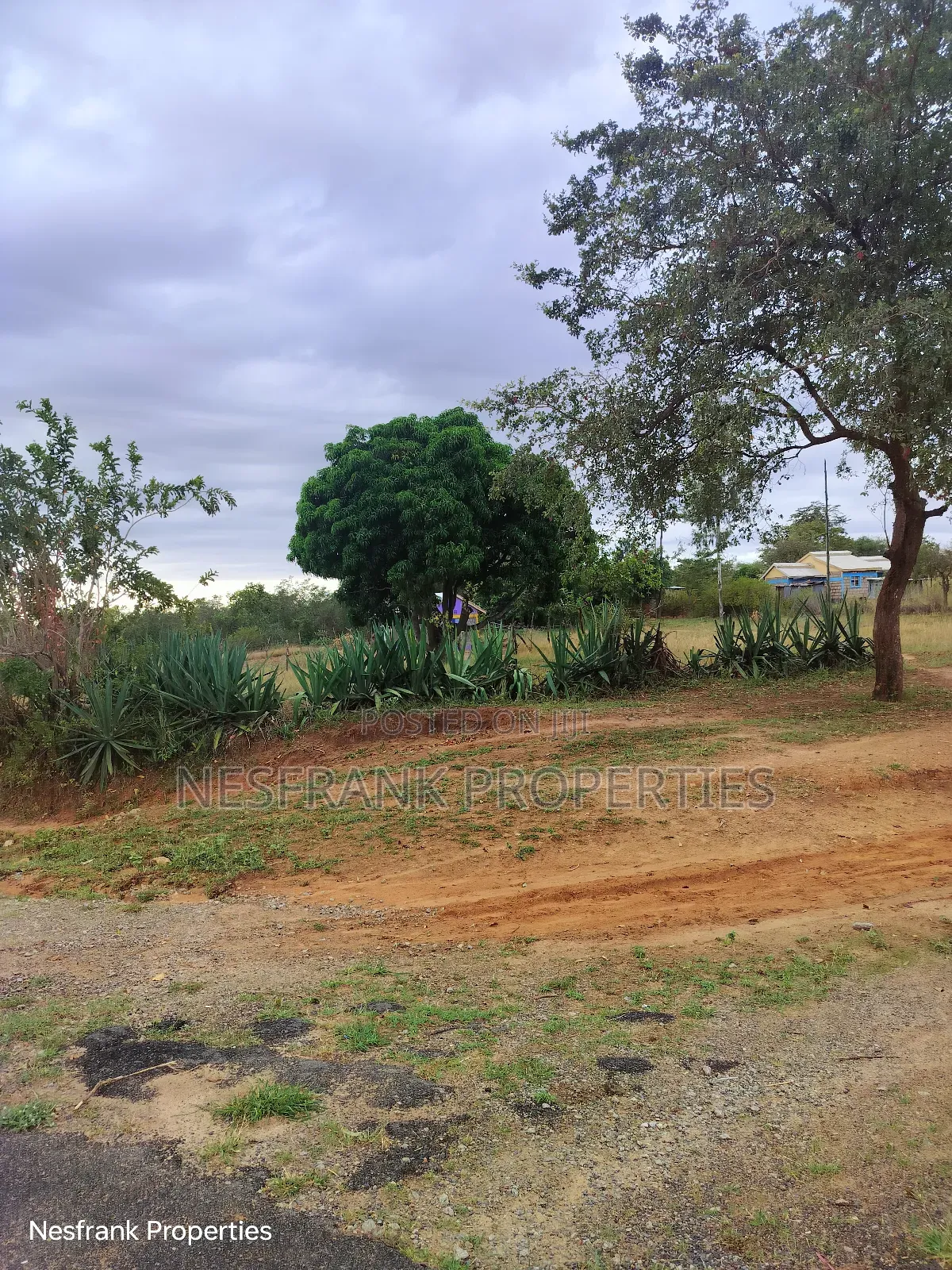 Plots In Matuu Size 50*100