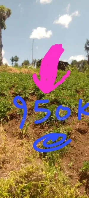 7 Acres Kiambogo Nyandarua County