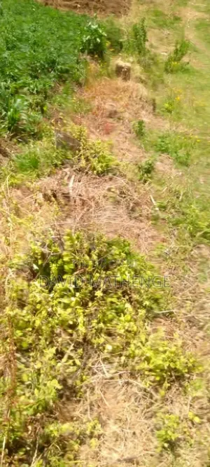 7 Acres Kiambogo Nyandarua County