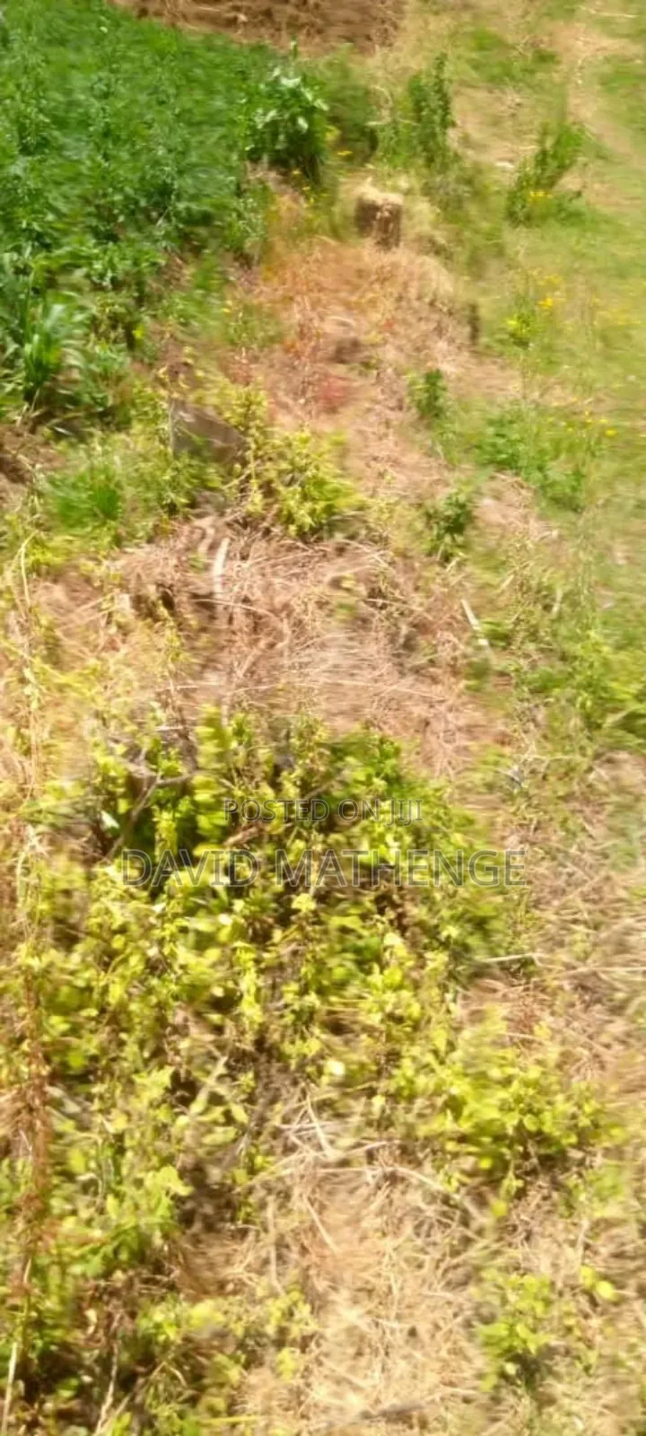7 Acres Kiambogo Nyandarua County