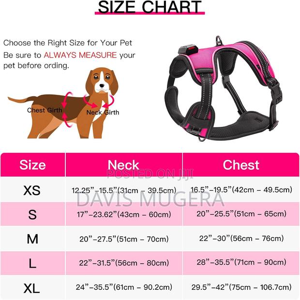 Durable Light Up Dog Harness Reflective Dog Harness - Large - thumbnail 3