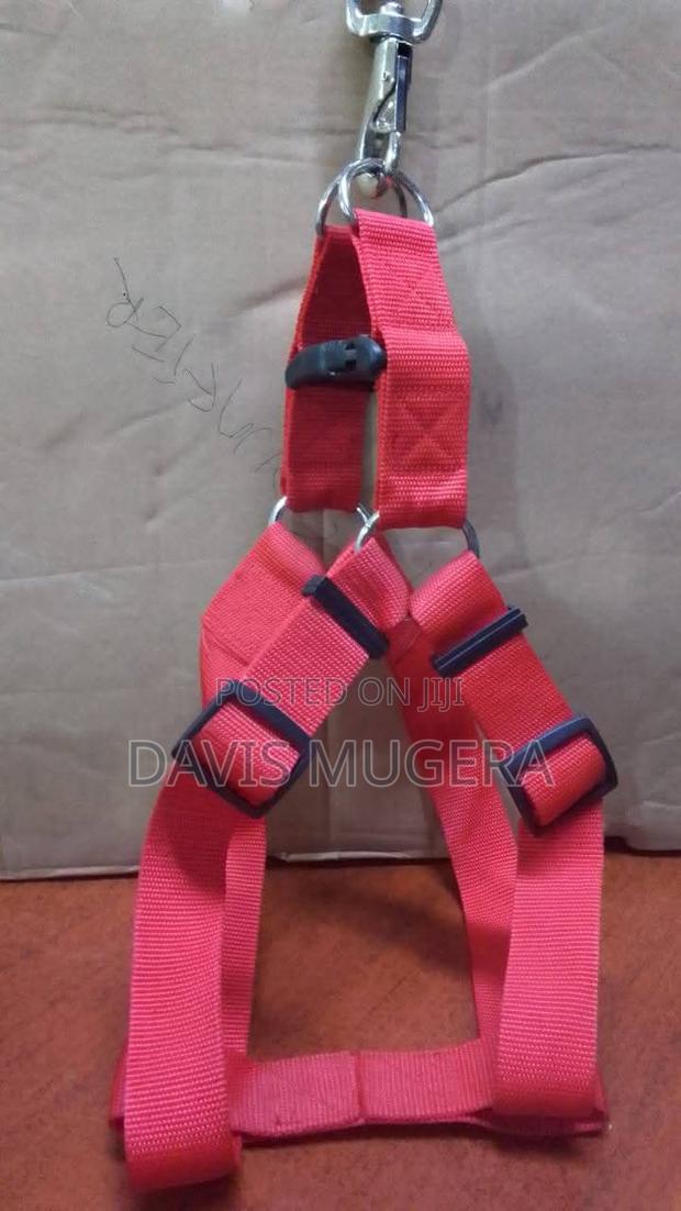 Adjustable No Pull Step-in Easy Lead Dog Harness - main view