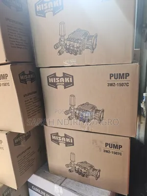 1507 Carwash Pump