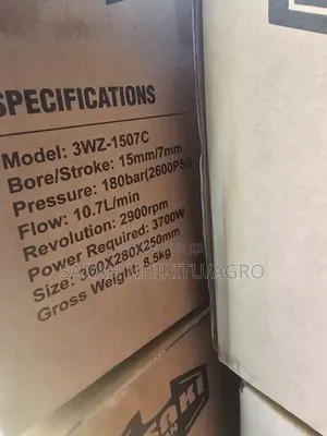 1507 Carwash Pump