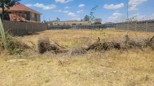 Syokimau 0.25 Acre Plot Community Road