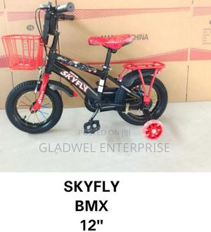 Best Quality Skyfly Unisex Kids Bicycle Size 12 Bicycle BMX - main view