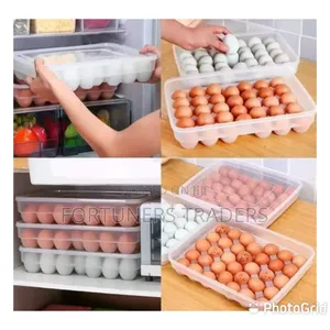 *34pc Egg Tray With Lid