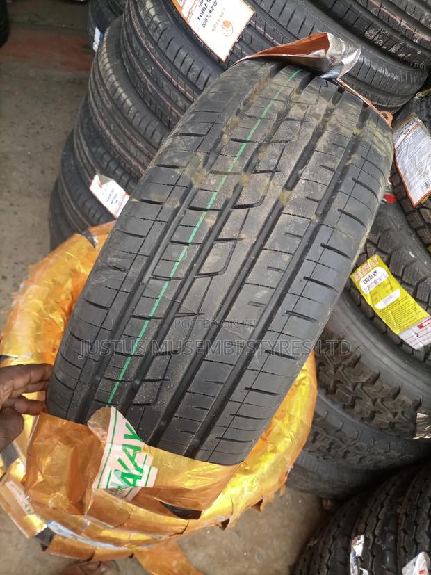 215/45zr17 Bearway Tyres - main view