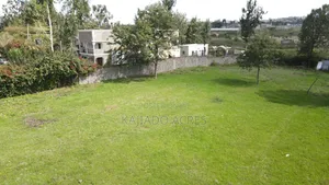 Prime 1/4 Acre Kerarapon