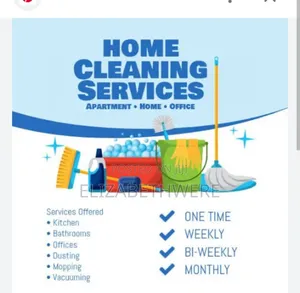 Professional Cleaning Services
