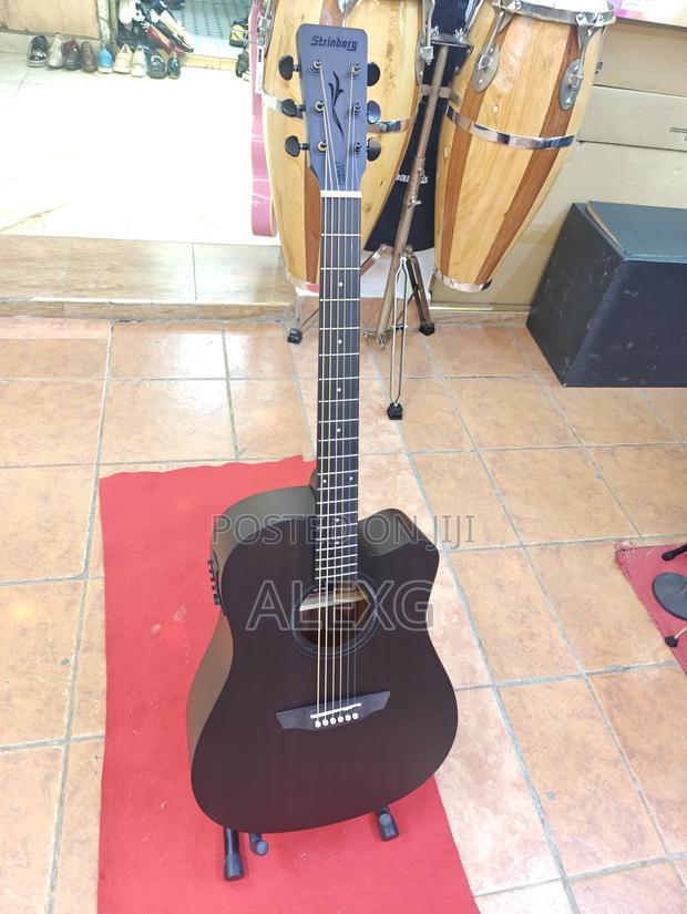 Stringberg Guitar Hig End - main view