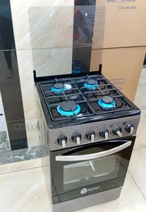 Standing Cooker Full Gas