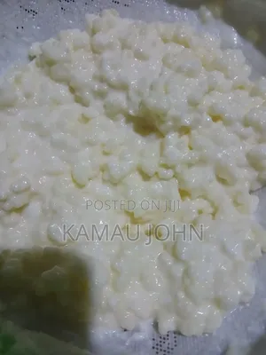 Kombucha,Scoby Hibiscus Kombucha and Kefir and Kefir Grains
