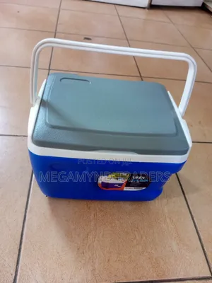 Cooler Box 5.5ltr/Ice Box 5.5litre