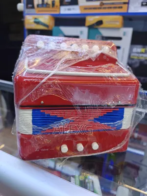 Kids Accordions