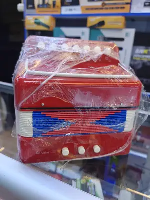 Kids Accordions
