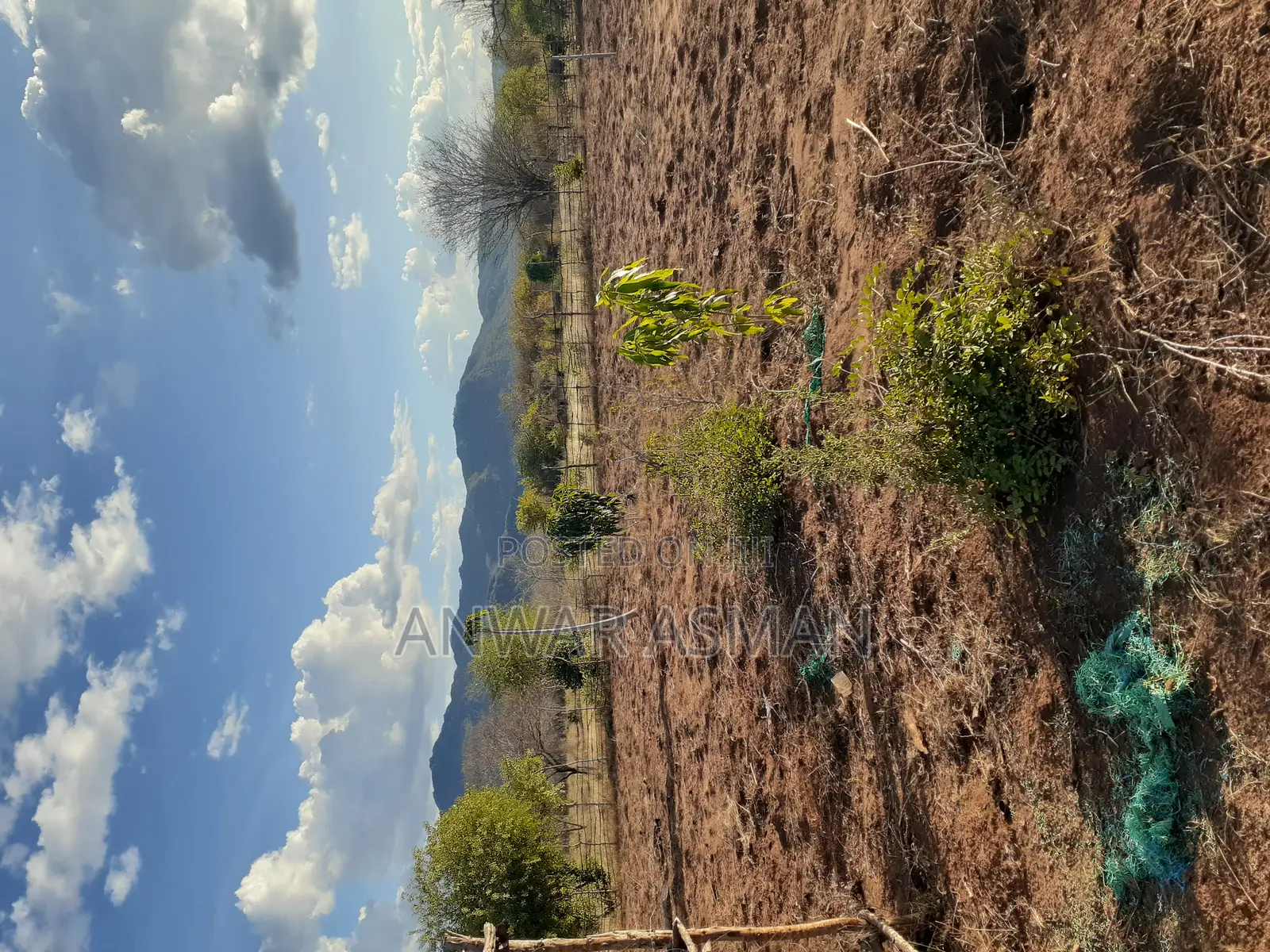 5.5 Acres for Sale