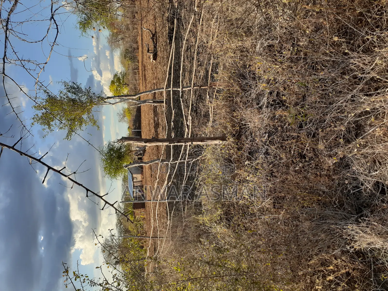 5.5 Acres for Sale