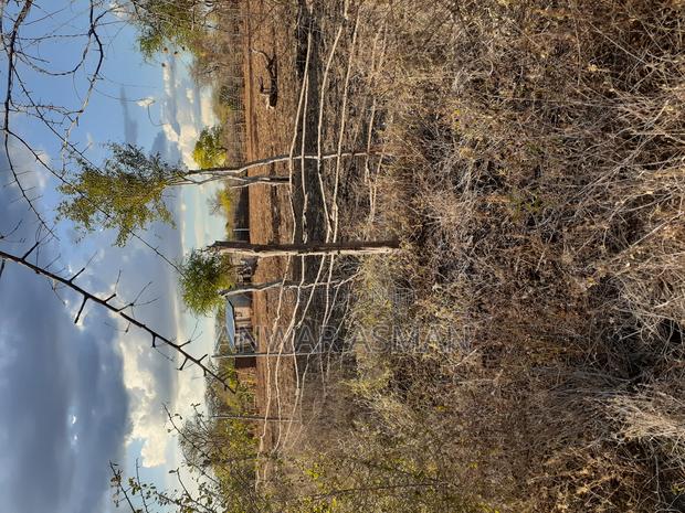 5.5 Acres for Sale - thumbnail 6