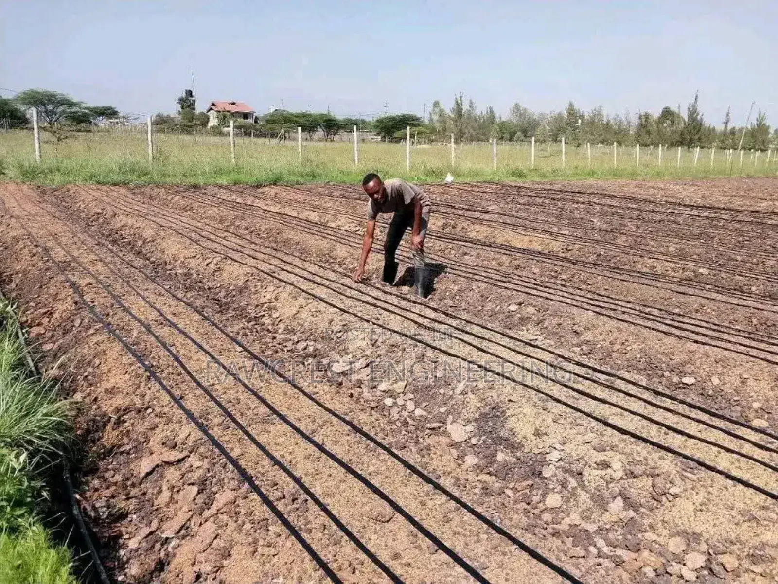 Drip Irrigation And Greenhouse Construction